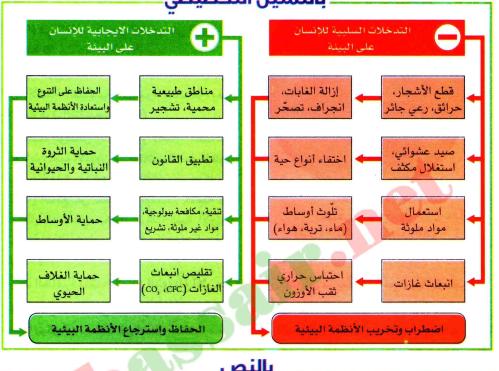 الدرس دور الإنسان في استقرار النظام البيئي